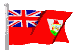 	Bermuda	