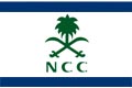 	National Chemical Carriers	